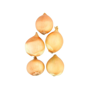 Onion Small Pre Pack 1kg