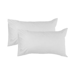 Pillow Assorted 1s